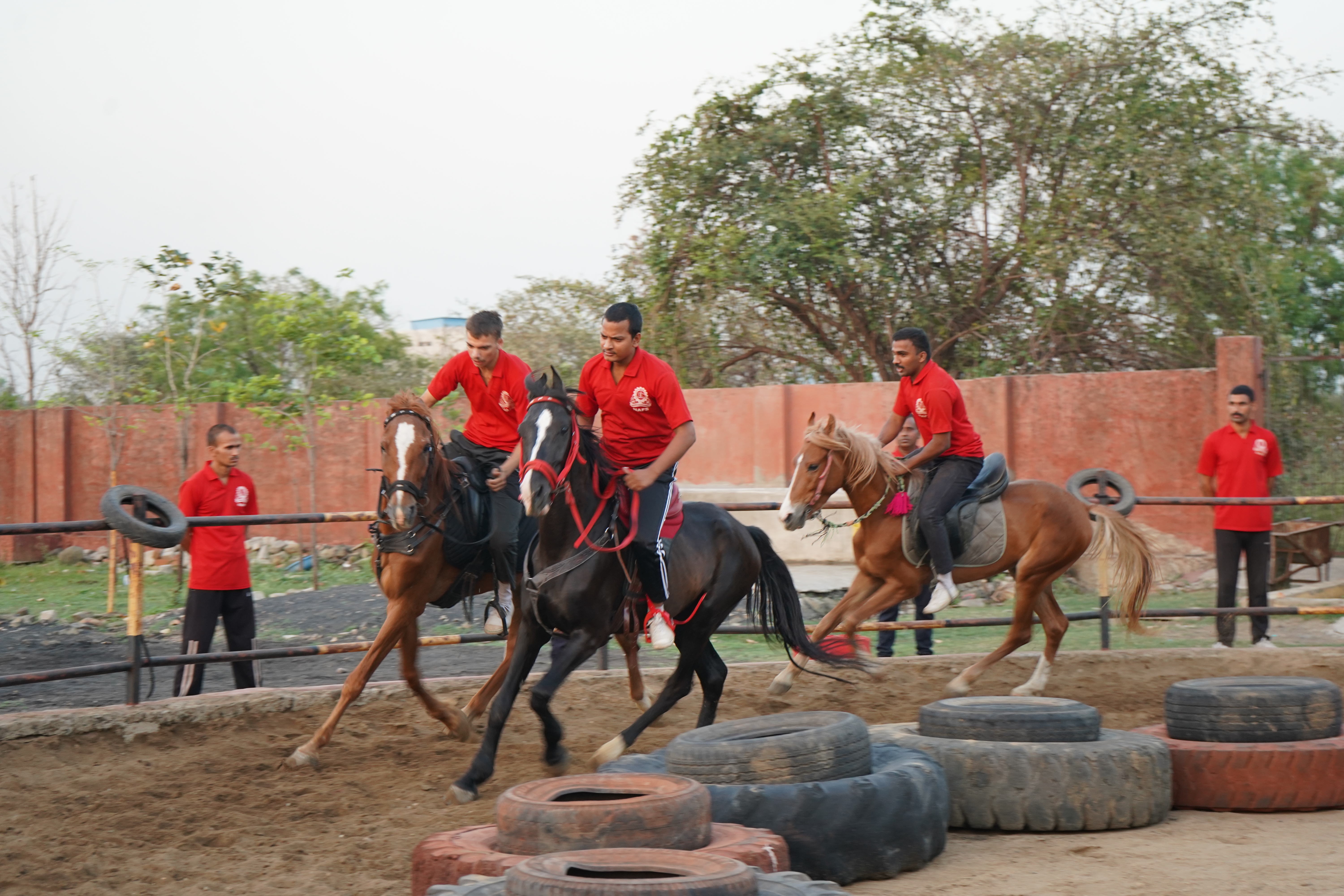 HORSE RIDING